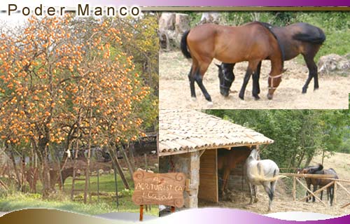 Foto - clicca per ingrandire