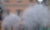 Foto - clicca per ingrandire